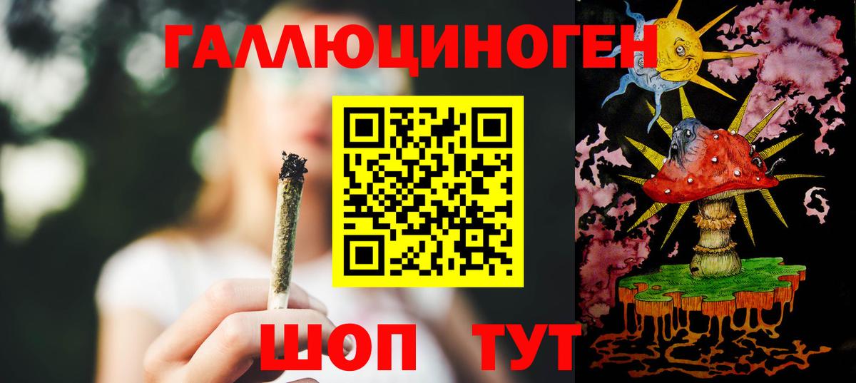 Галлюциногенные грибы Psilocybine cubensis Канаш