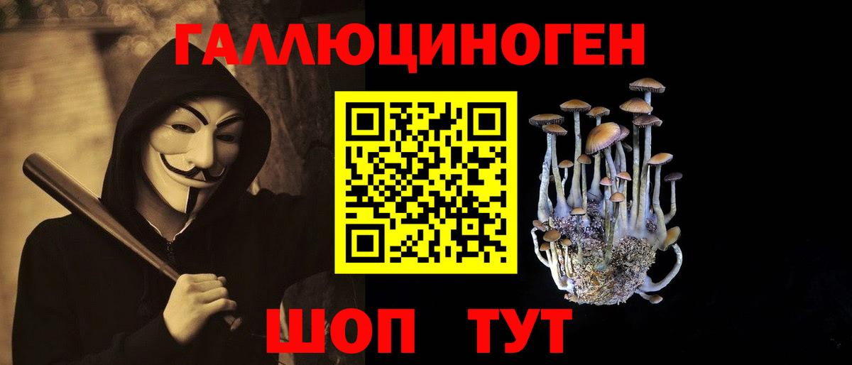 цена наркотик  Галлюциногенные грибы Cubensis  Вход с VPN  Канаш 